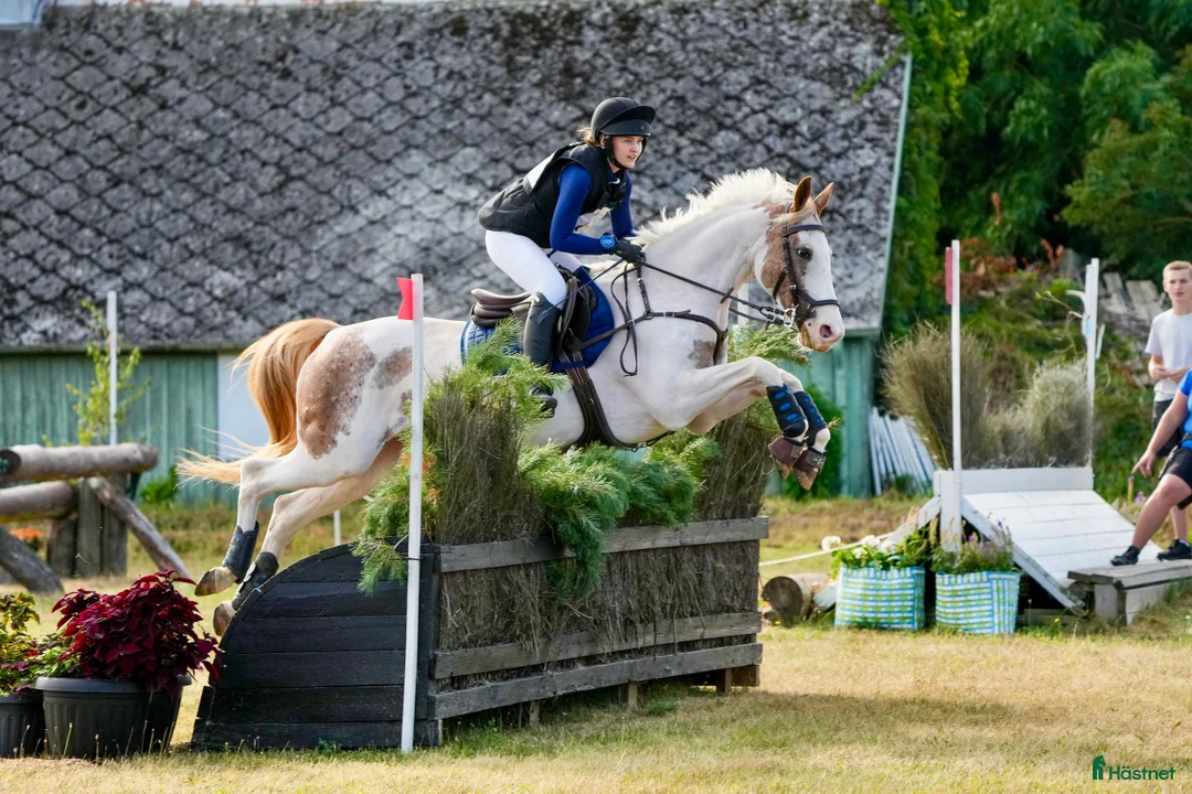 Galleribild {{count}}