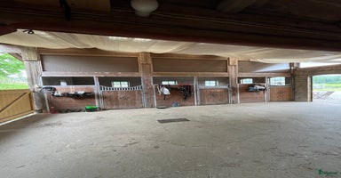  stallplats i Alingsås - Annons 15
