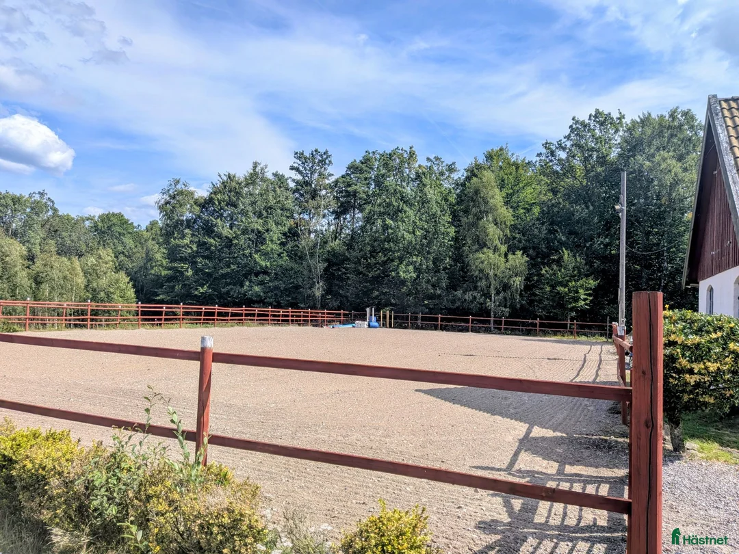  stallplats finnes: Ledig stallplats utanför Ängelholm  - Annons 3