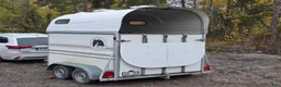 Hästtransporter  fordon & transport till salu: BOJ EH  - Annons 3