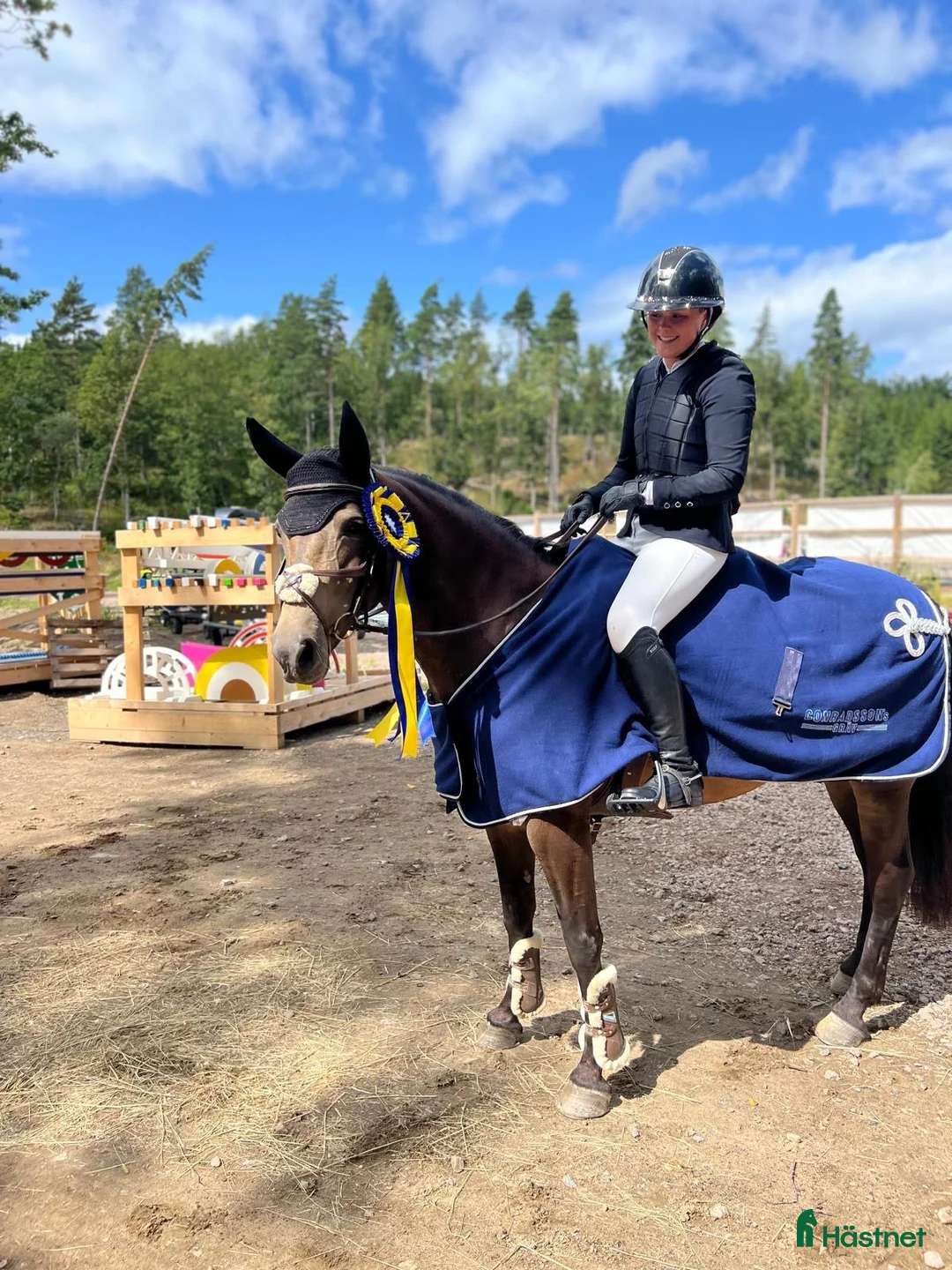 Hoppning hästar till salu: C-ponny sto -13 i Norberg - Annons 1