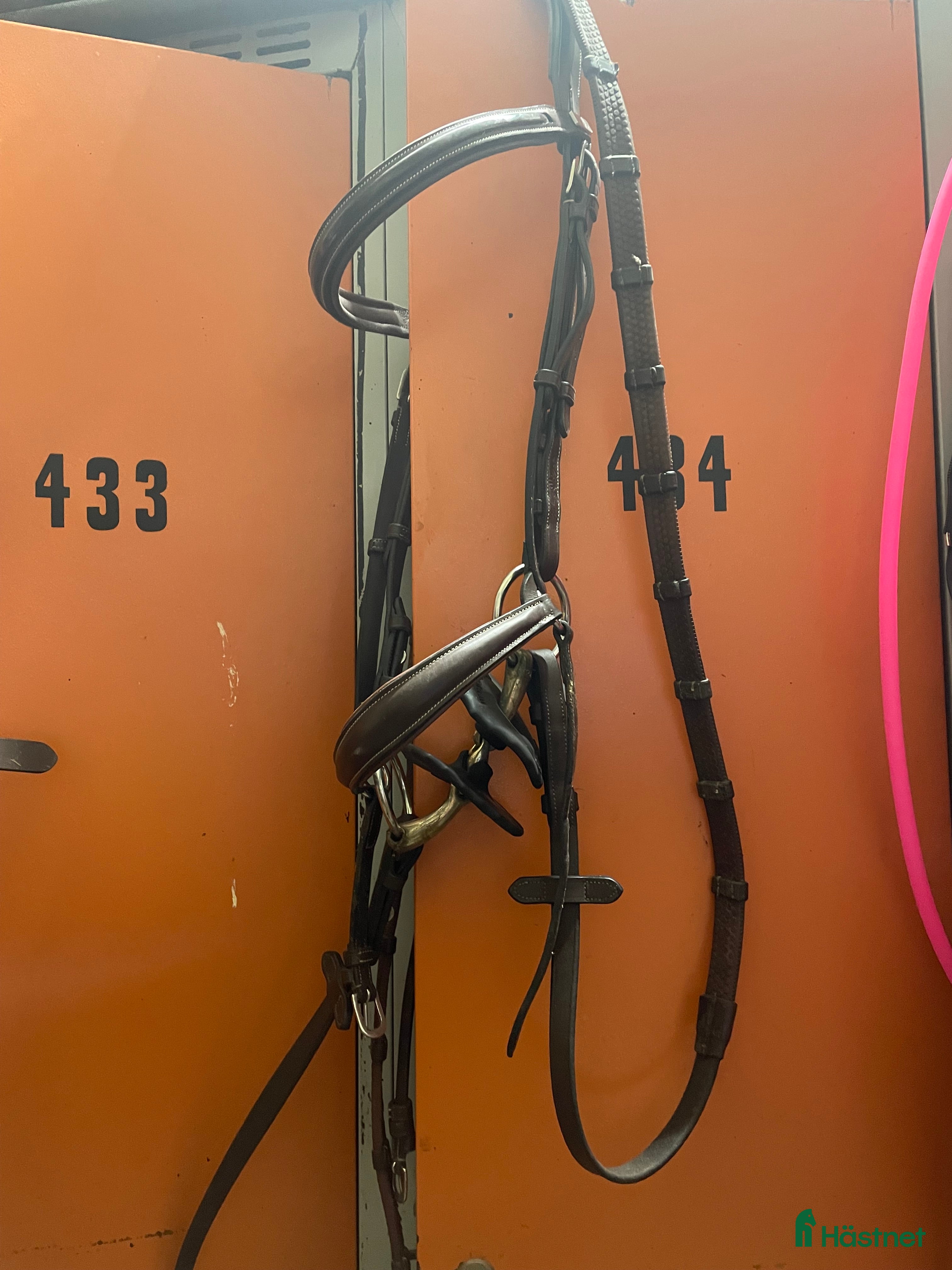 Träns hästutrustning till salu: Equipe träns i Flyinge - Annons 2