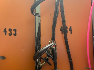 Träns hästutrustning till salu: Equipe träns i Flyinge - Annons 11