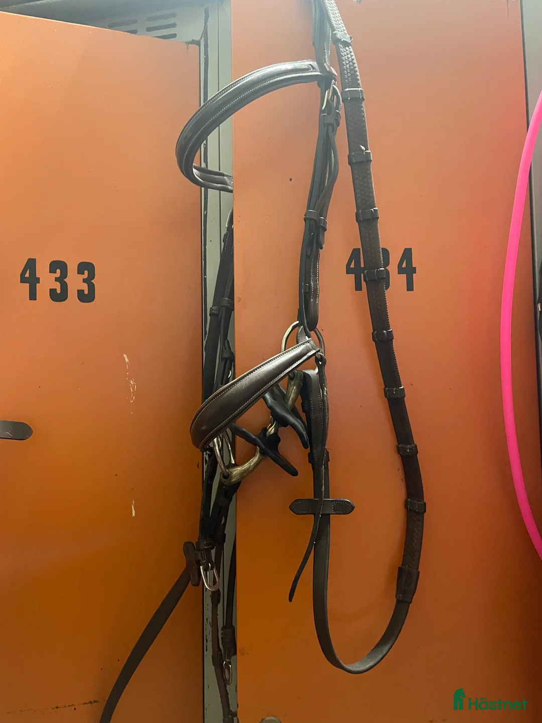 Träns hästutrustning till salu: Equipe träns - Annons 1