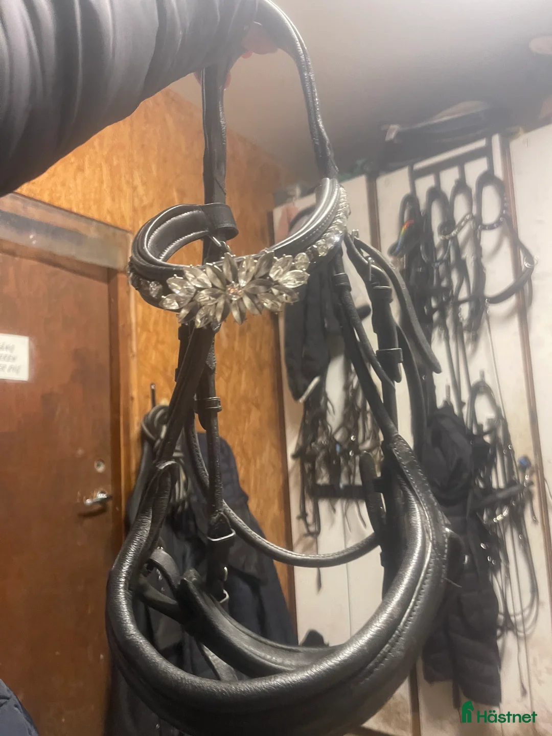 Träns hästutrustning till salu: Träns och Pannband - Annons 3