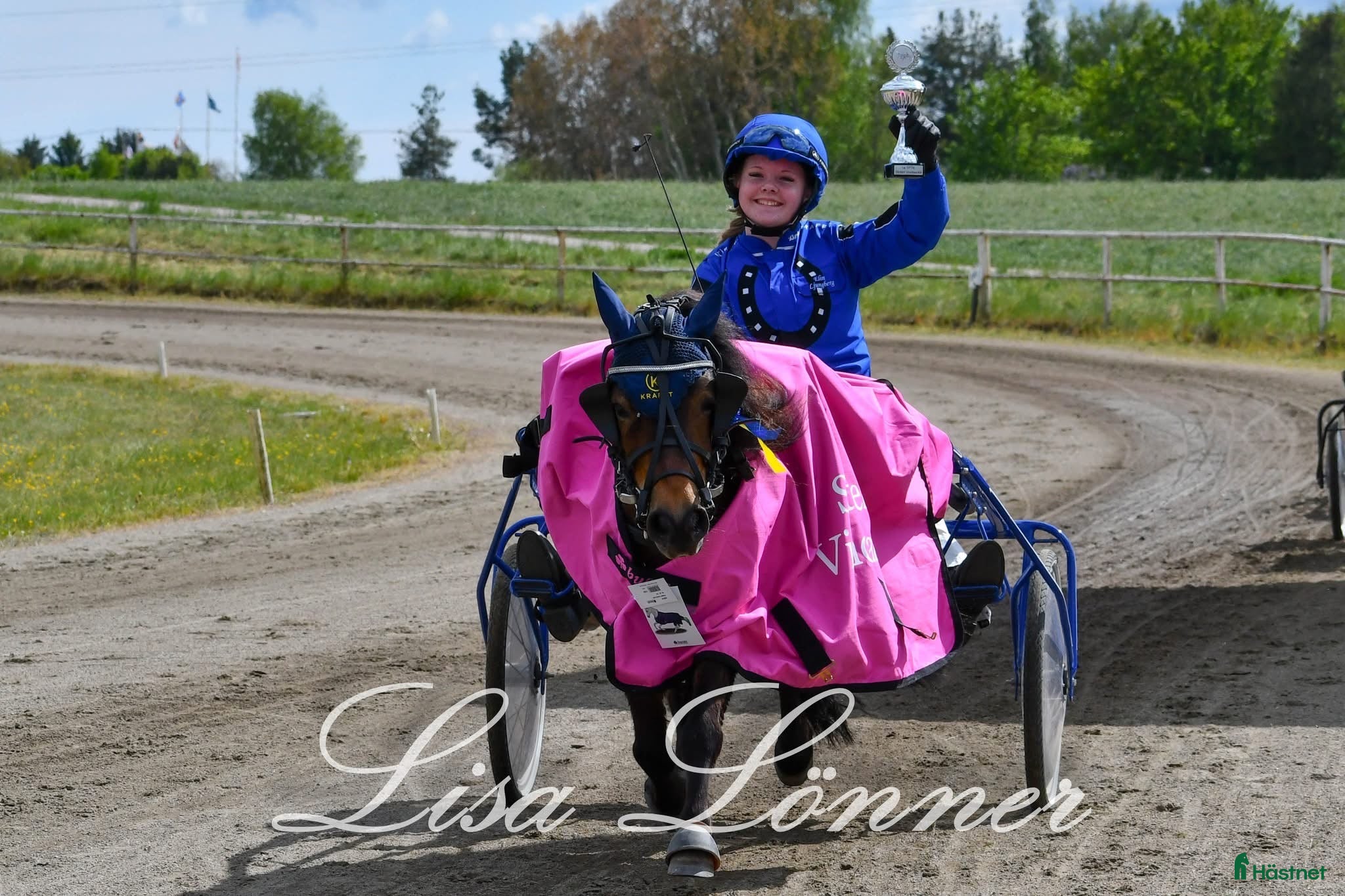  hästar Travponny med stora utvecklingsmöjligheter  i Asarum - Annons 10