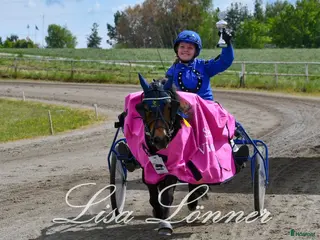 hästar Travponny med stora utvecklingsmöjligheter i Asarum - Annons 18