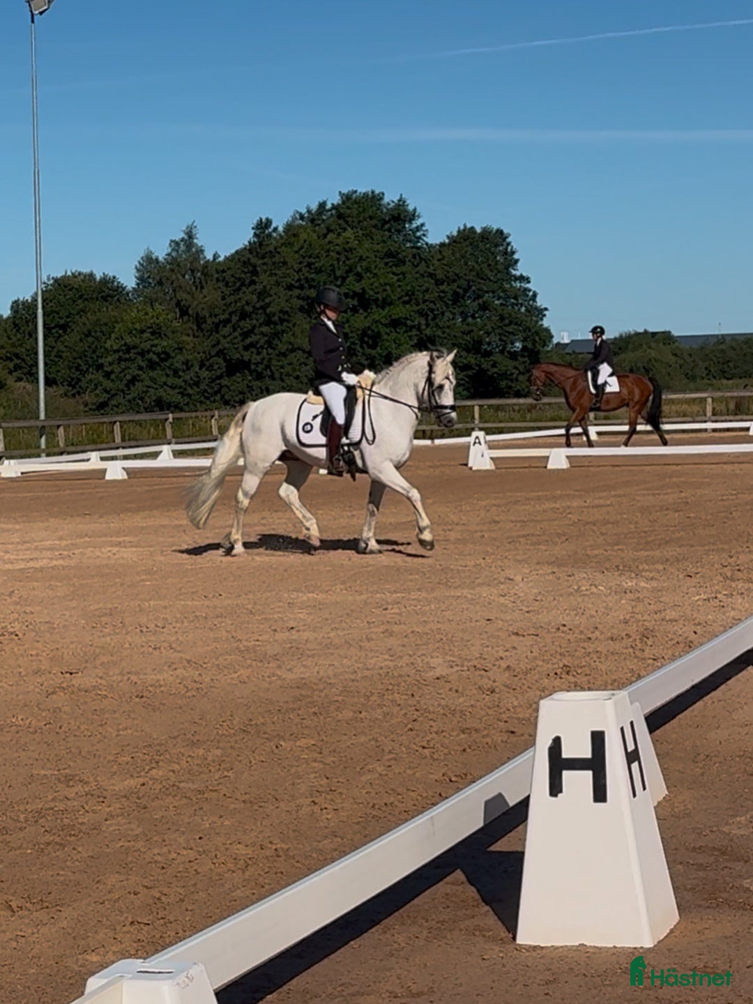 Galleribild {{count}}