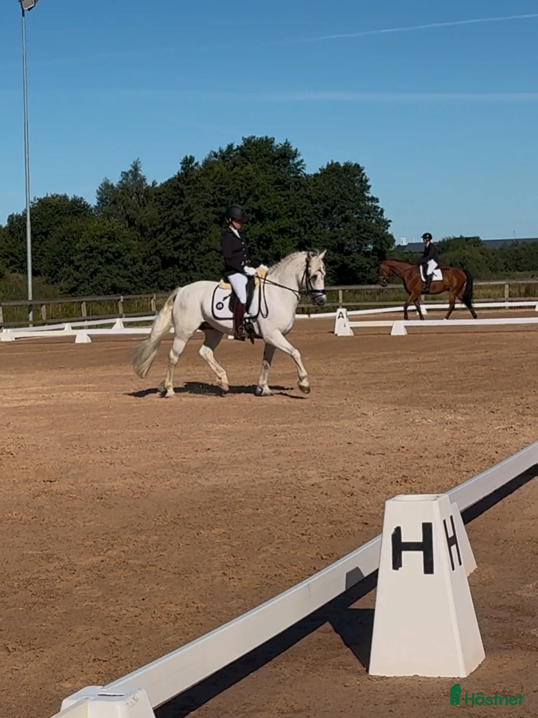 Galleribild {{count}}