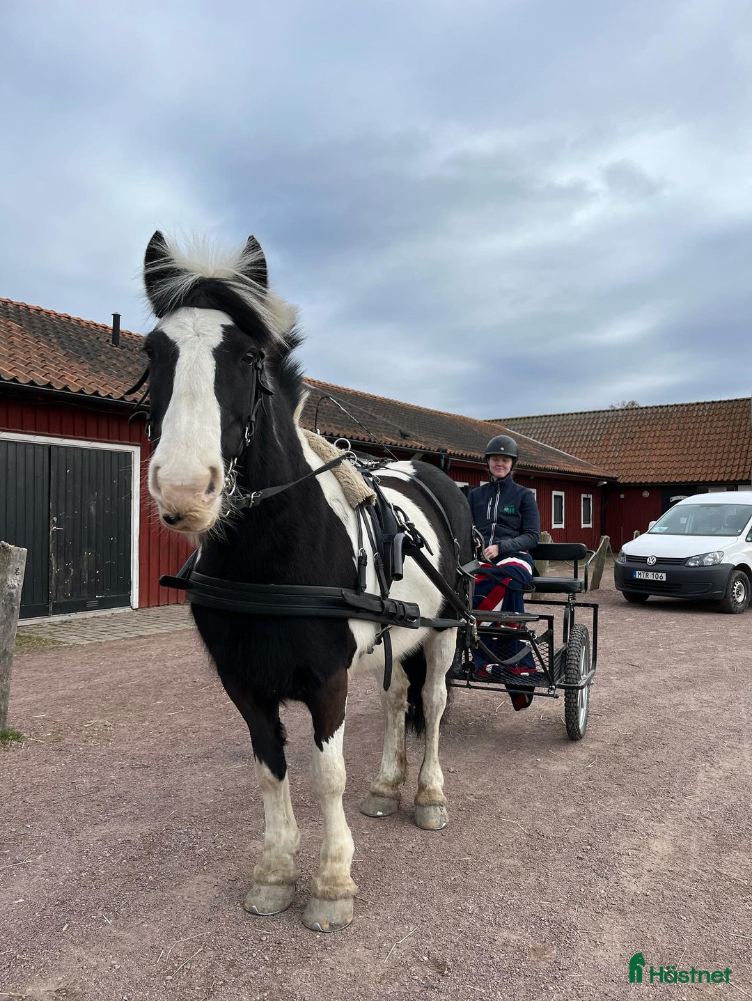 Galleribild {{count}}