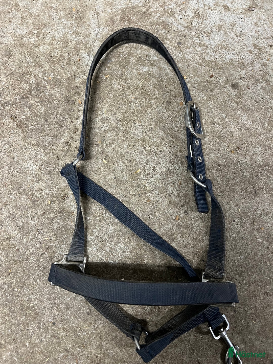 Övrig Hästutrustning hästutrustning till salu: Kingsland grimma i Växjö - Annons 1