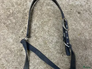 Övrig Hästutrustning hästutrustning Kingsland grimma i Växjö - Annons 5