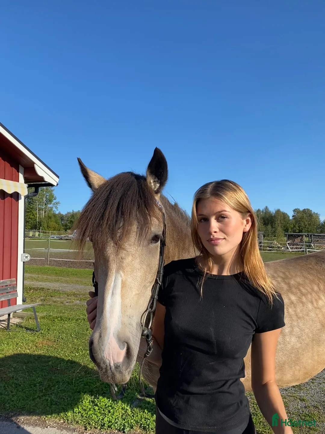 Galleribild {{count}}