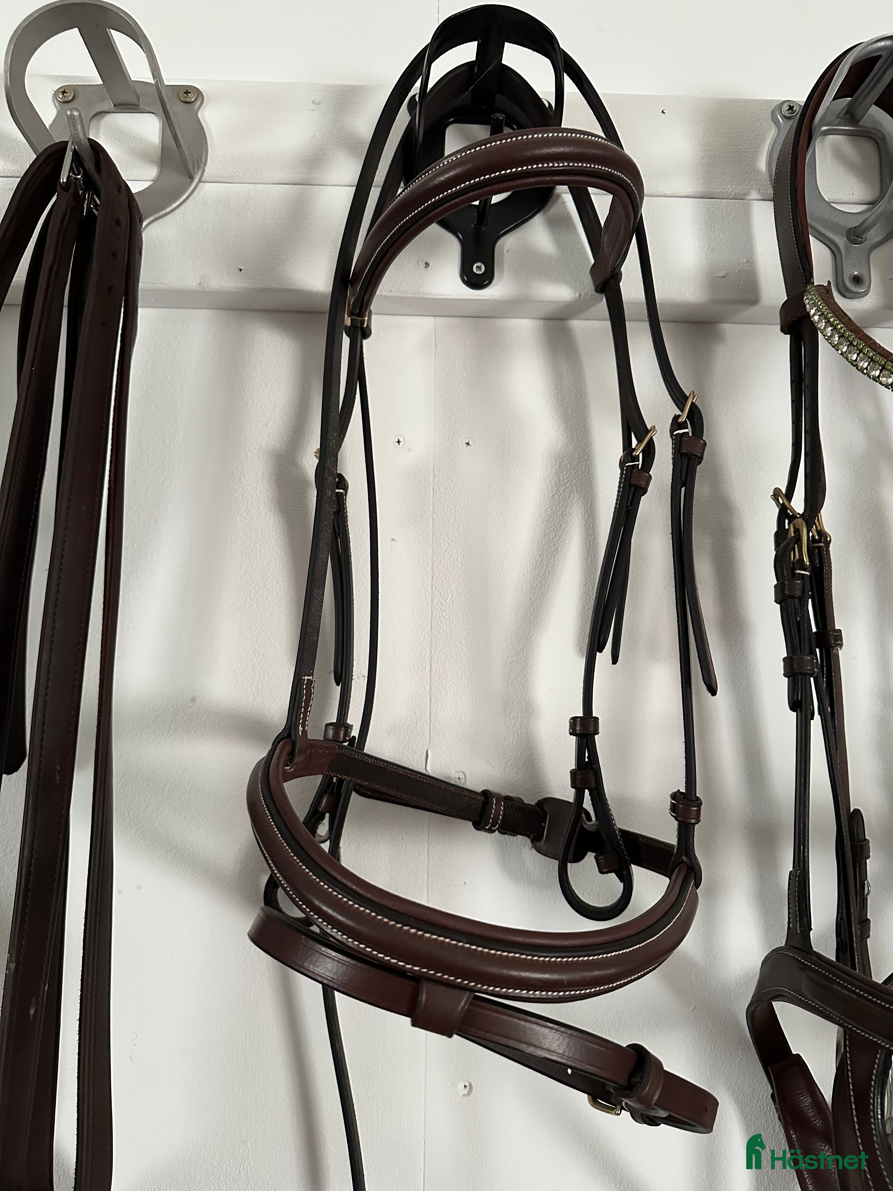 Träns hästutrustning till salu: Oanvänt i Västerås - Annons 16
