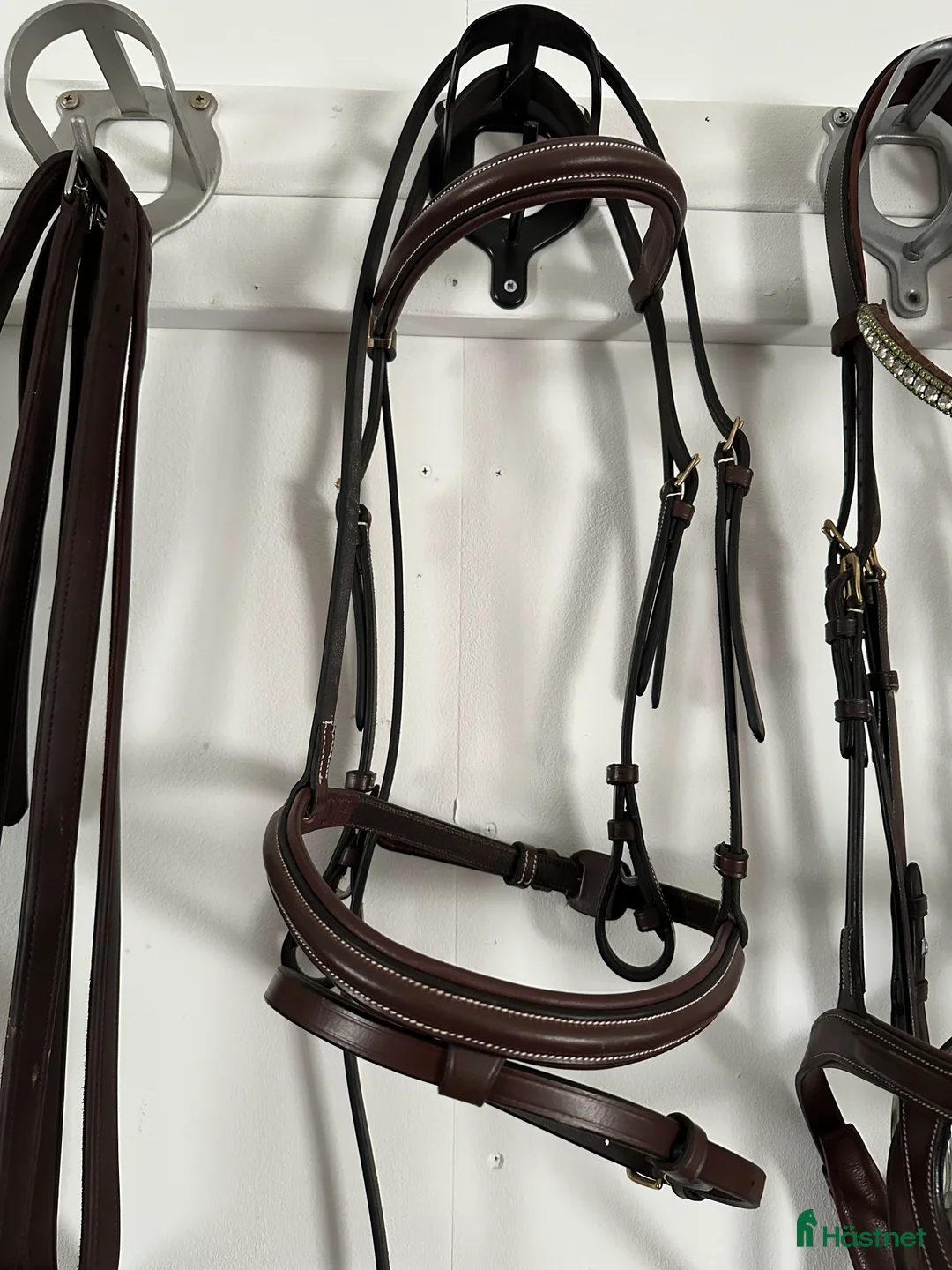 Träns hästutrustning till salu: Oanvänt i Västerås - Annons 1