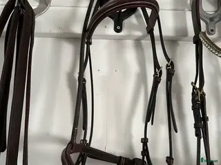 Träns hästutrustning Oanvänt i Västerås - Annons 5