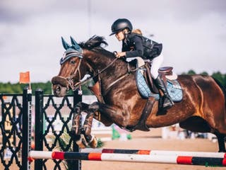 hästar Häst för satsande children lr Junior - Annons 9