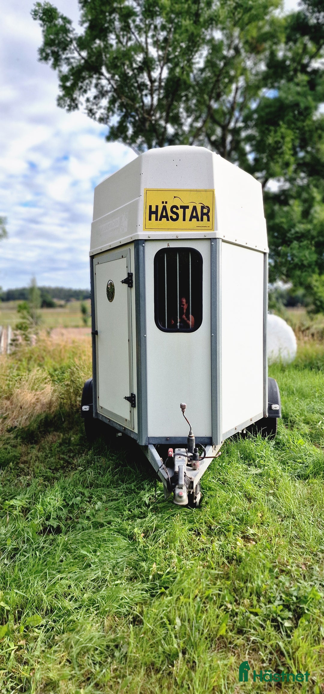 Hästtransporter  fordon & transport till salu: Gaupen/värmlandsvagnen  i Norrköping - Annons 1