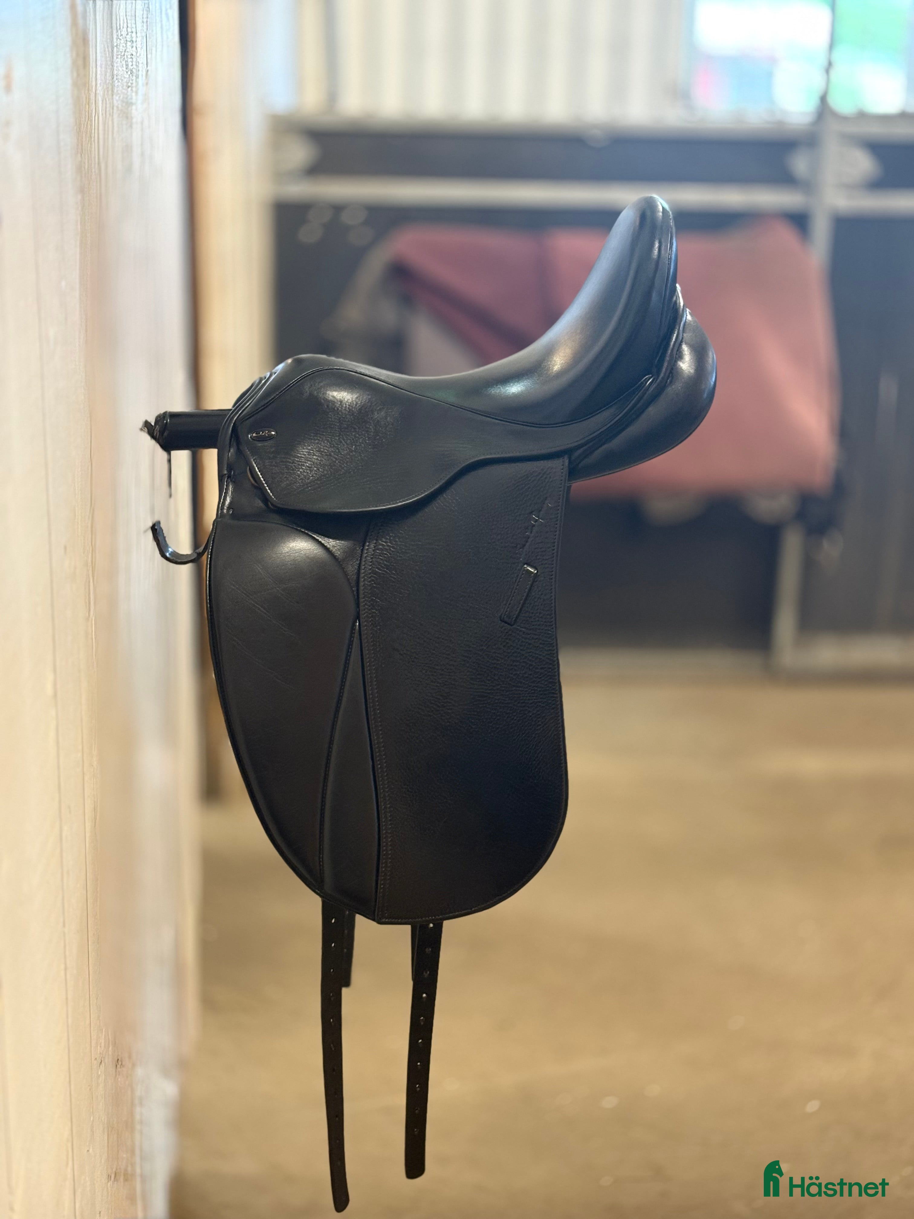 Sadlar hästutrustning till salu: Santa Cruz Arthur deluxe - Annons 7