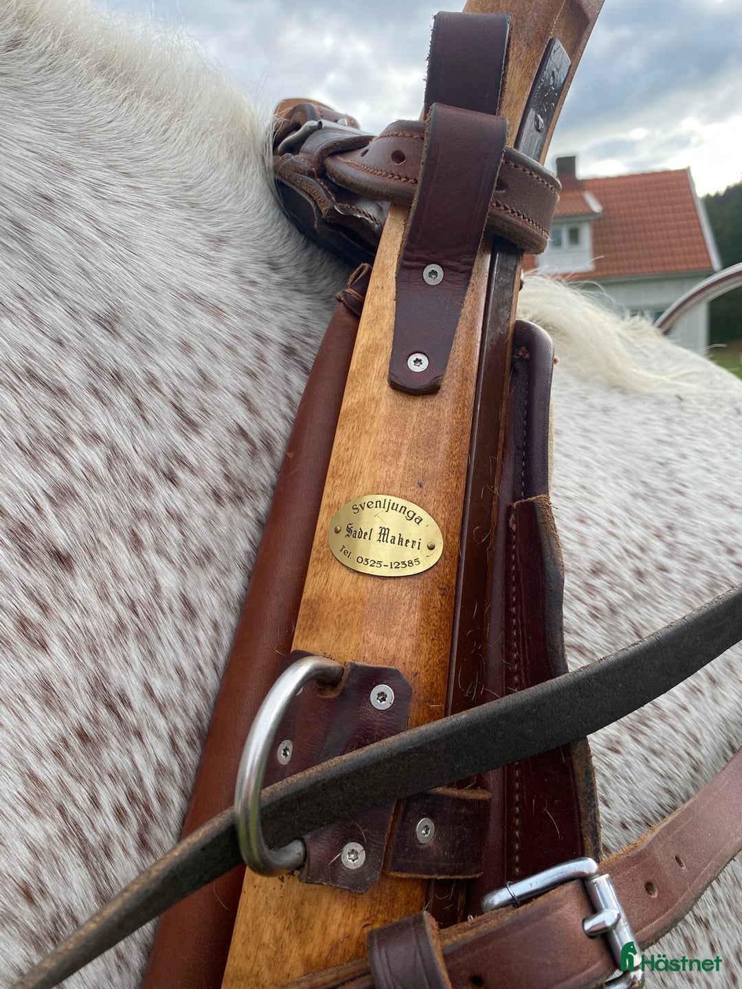 Körselar körning till salu: Komplett nästan ny Svenljunga sele med huvudlag i Kungälv - Annons 9