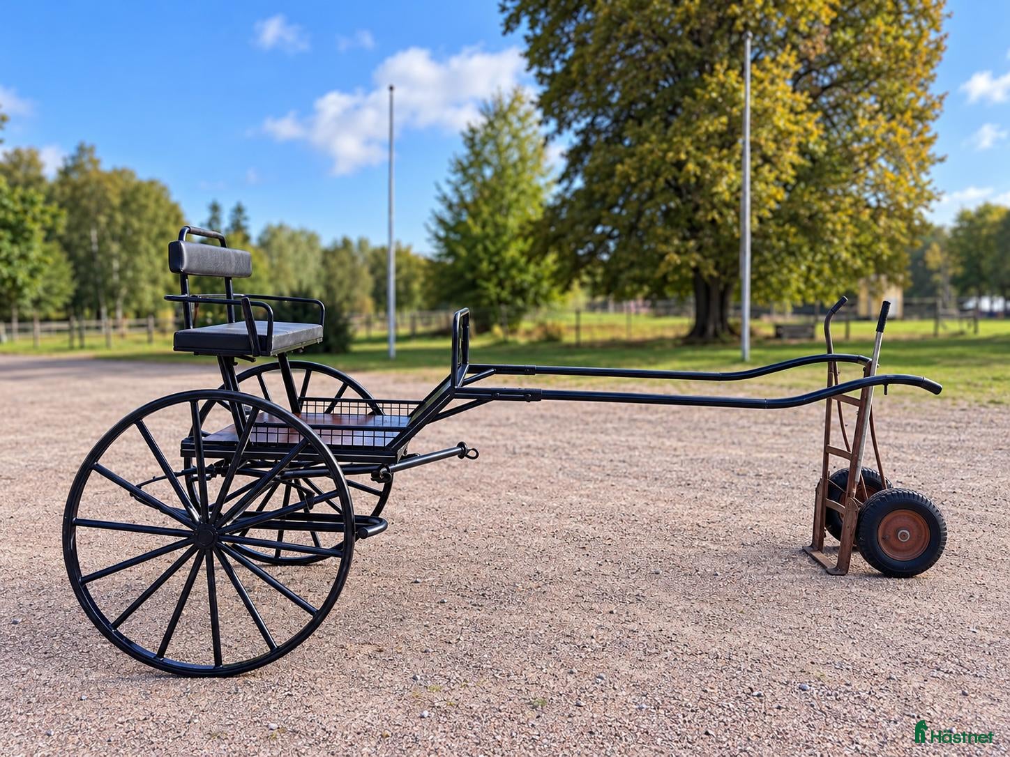 Körvagnar körning till salu: Gigg Tidaholmsvagnar - Annons 1