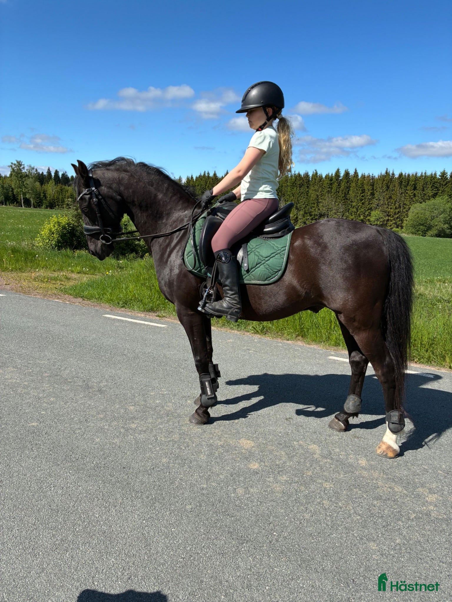  hästar Vacker ponny med ett hjärta av guld  - Annons 2