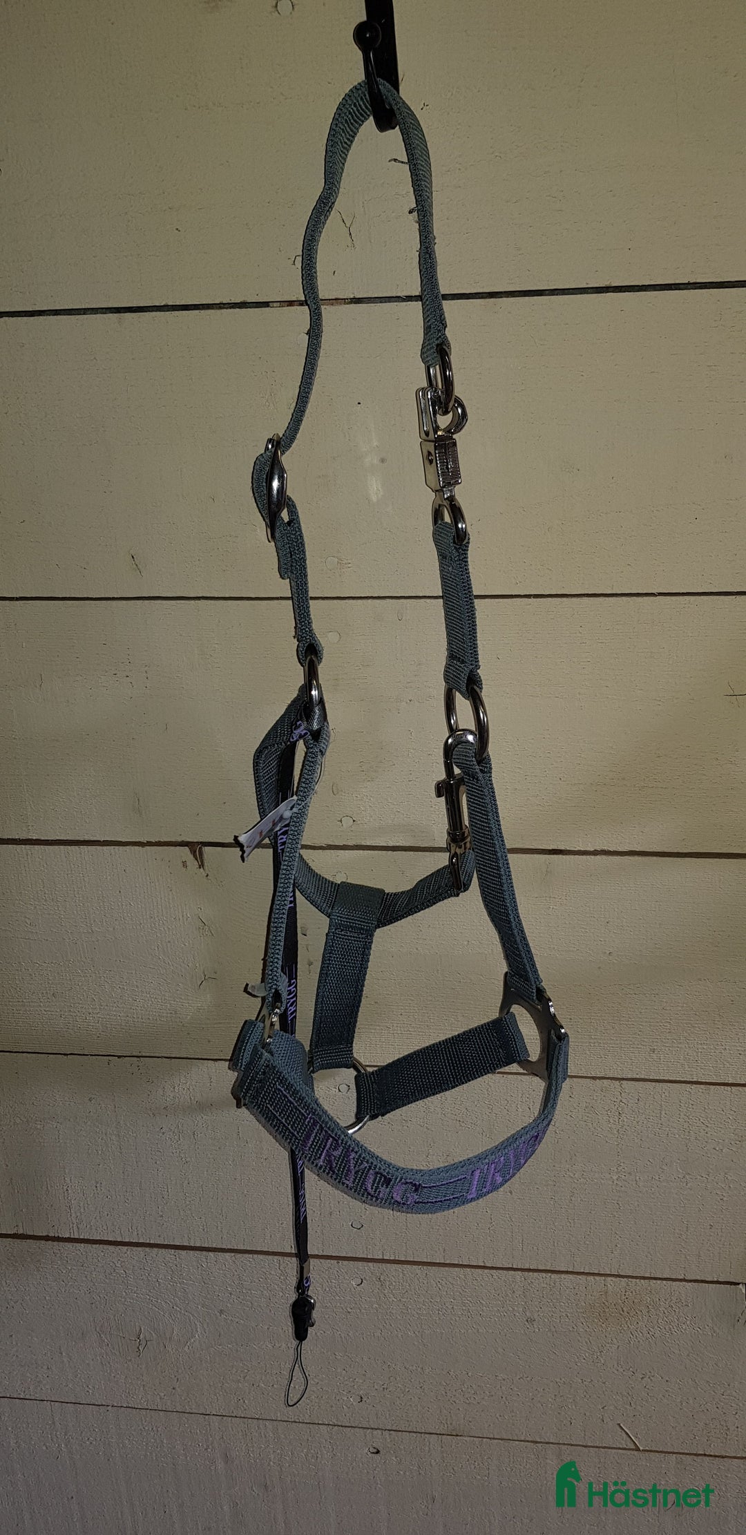 Övrig Hästutrustning hästutrustning till salu: Blågrå grimmor med texten "Tuff" i Nora - Annons 2