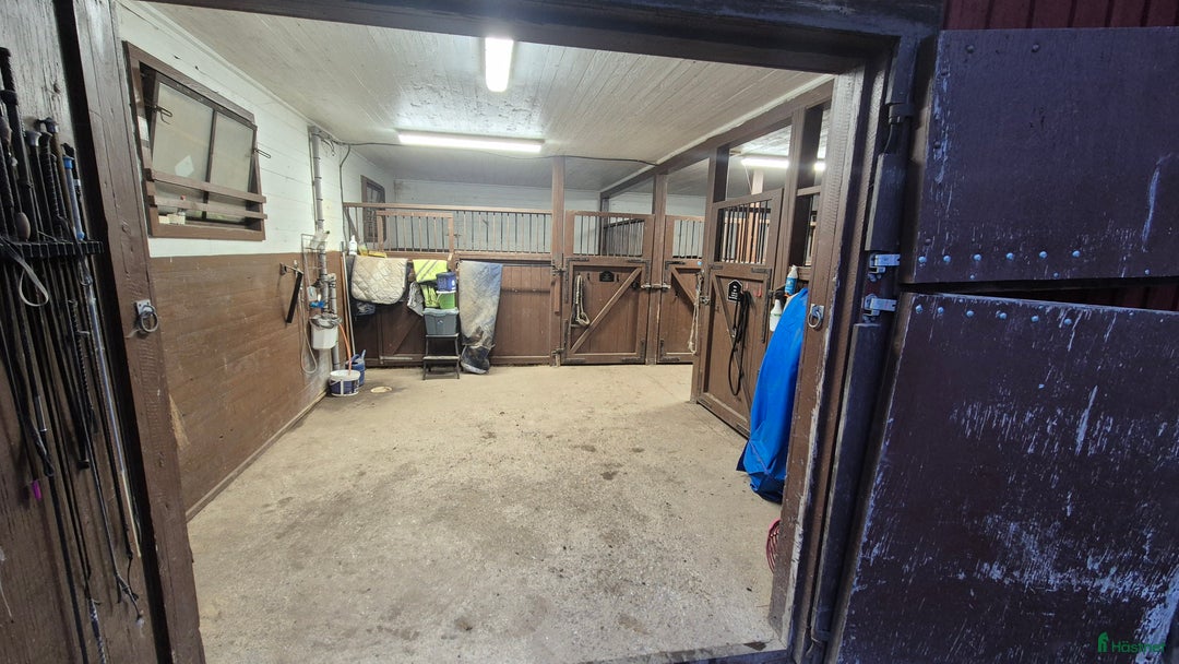  stallplats finnes: Boxplats i litet kollektiv i Vårsta  i Grödinge - Annons 3