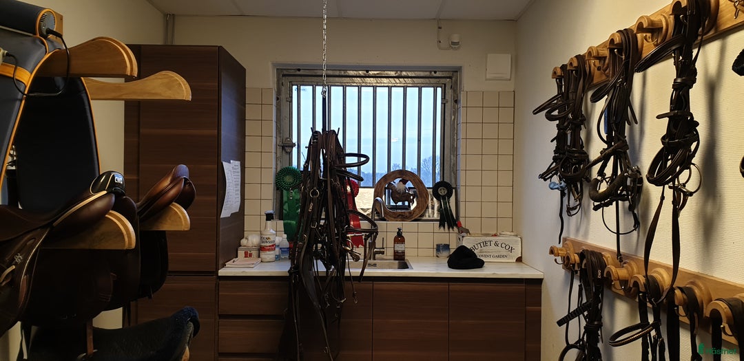  stallplats finnes: Stall om 6-10 boxar uthyres i Kristianstad - Annons 4