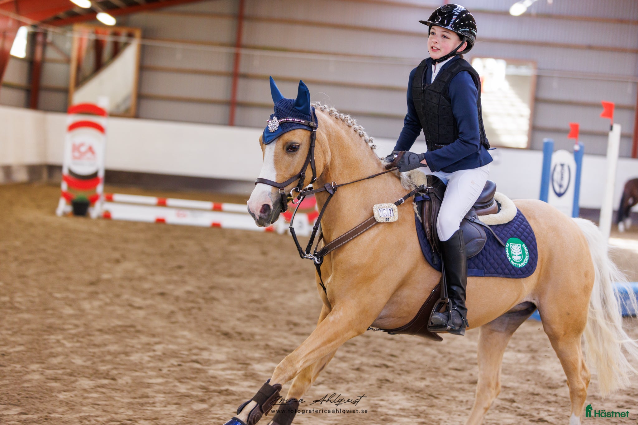  hästar Svenskfödd welsh C-ponny - Annons 14