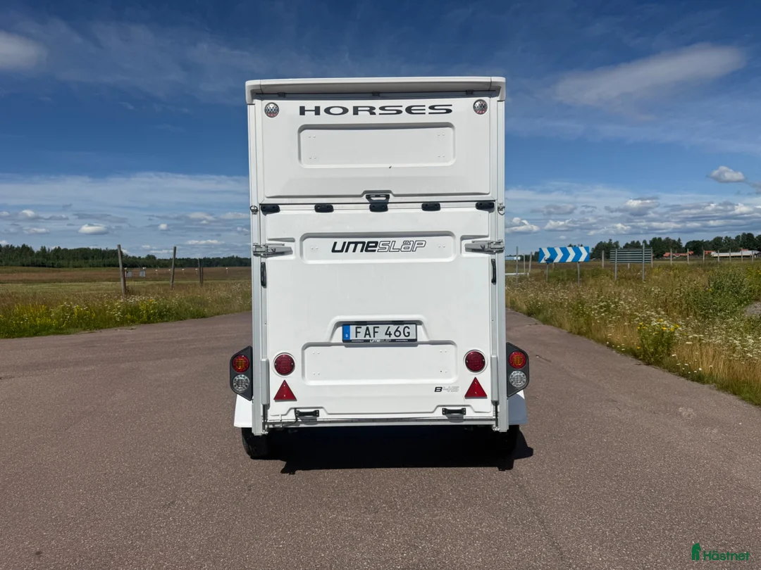 Hästtransporter  fordon & transport till salu: UME B45 -23 - Fronturlastning!  - Annons 4
