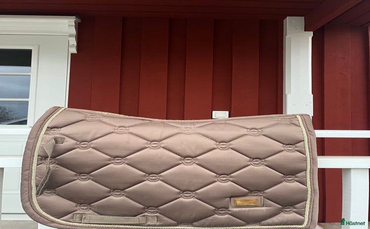 Schabrak & Vojlockar hästutrustning till salu i Arvika - Annons 14