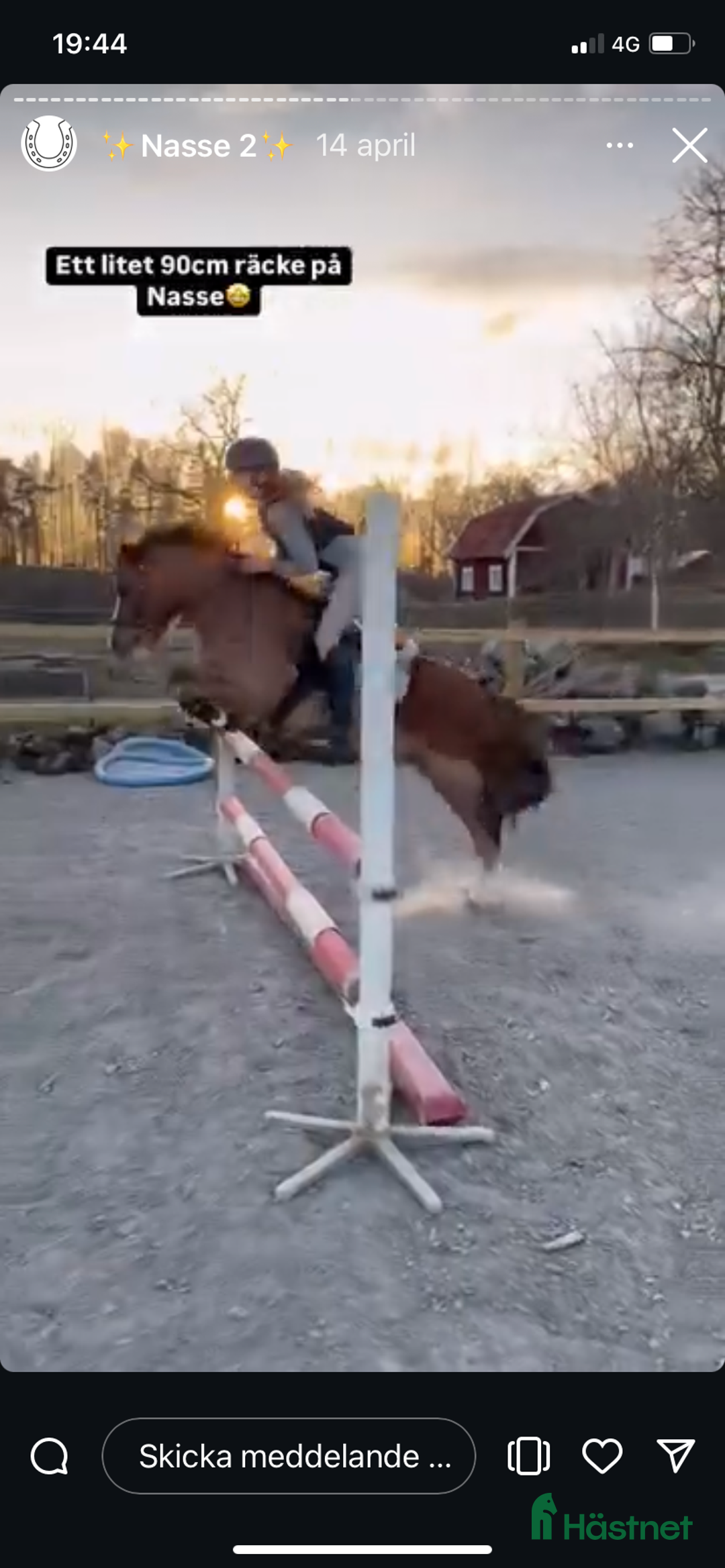 Hoppning hästar till salu: Tävlingsponny i Strängnäs - Annons 3