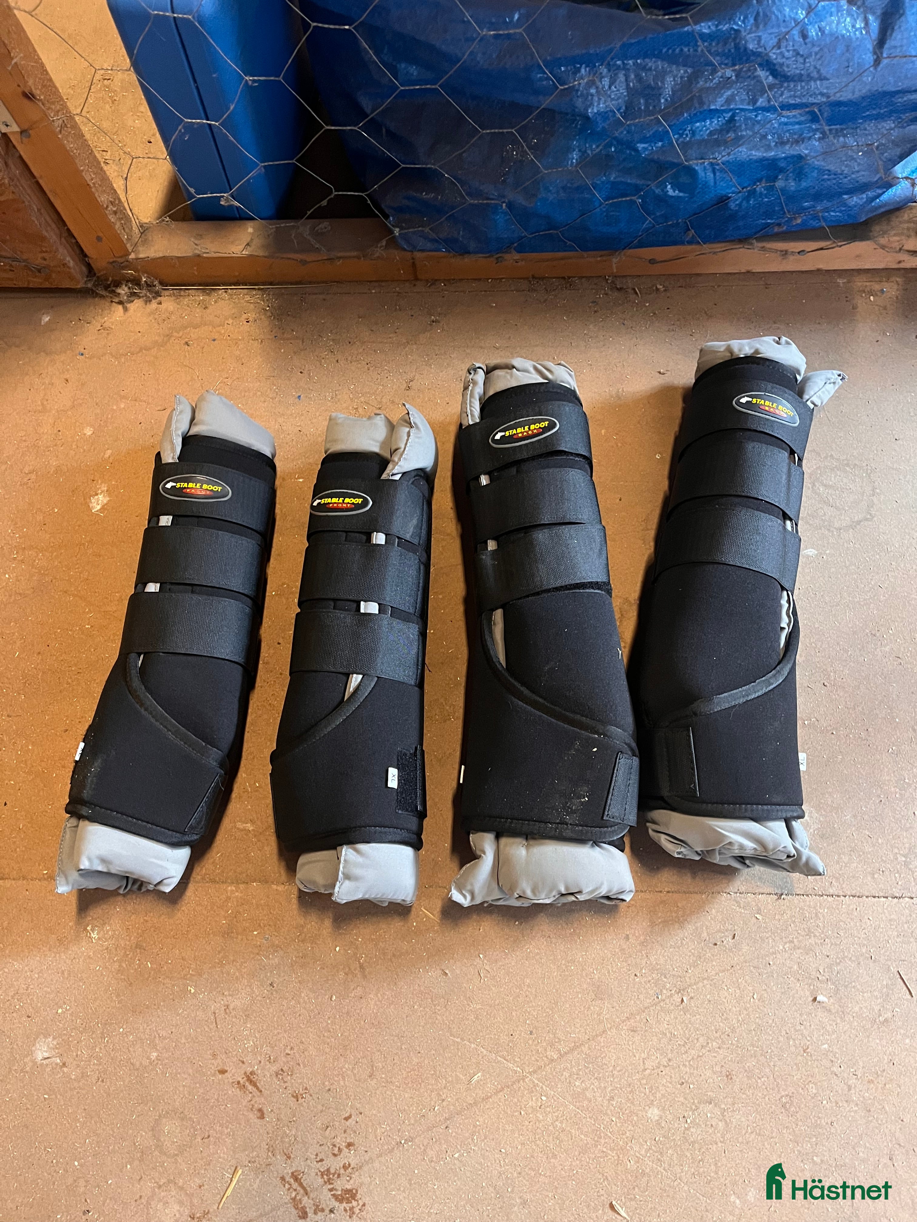 Benskydd hästutrustning Stall och transportskydd - Annons 2