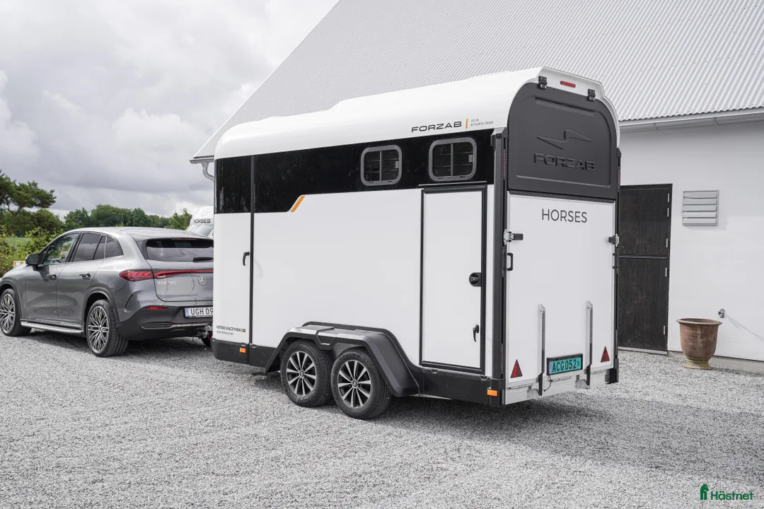 Hästtransporter  fordon & transport till salu: Forzab EQ 3 Reverse i Harestad - Annons 3