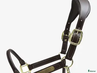 Övrig Hästutrustning hästutrustning SÖKER KENTUCKY LÄDER GRIMMA - Annons 18