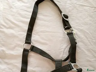 Övrig Hästutrustning hästutrustning Grimma - Annons 17