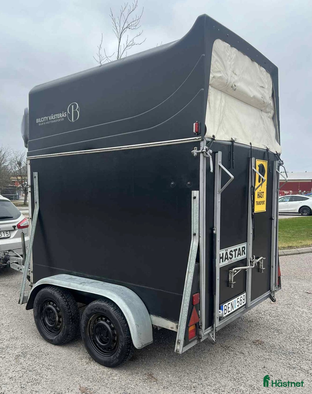 Hästtransporter  fordon & transport till salu: Christ Cortez i Västerås - Annons 4