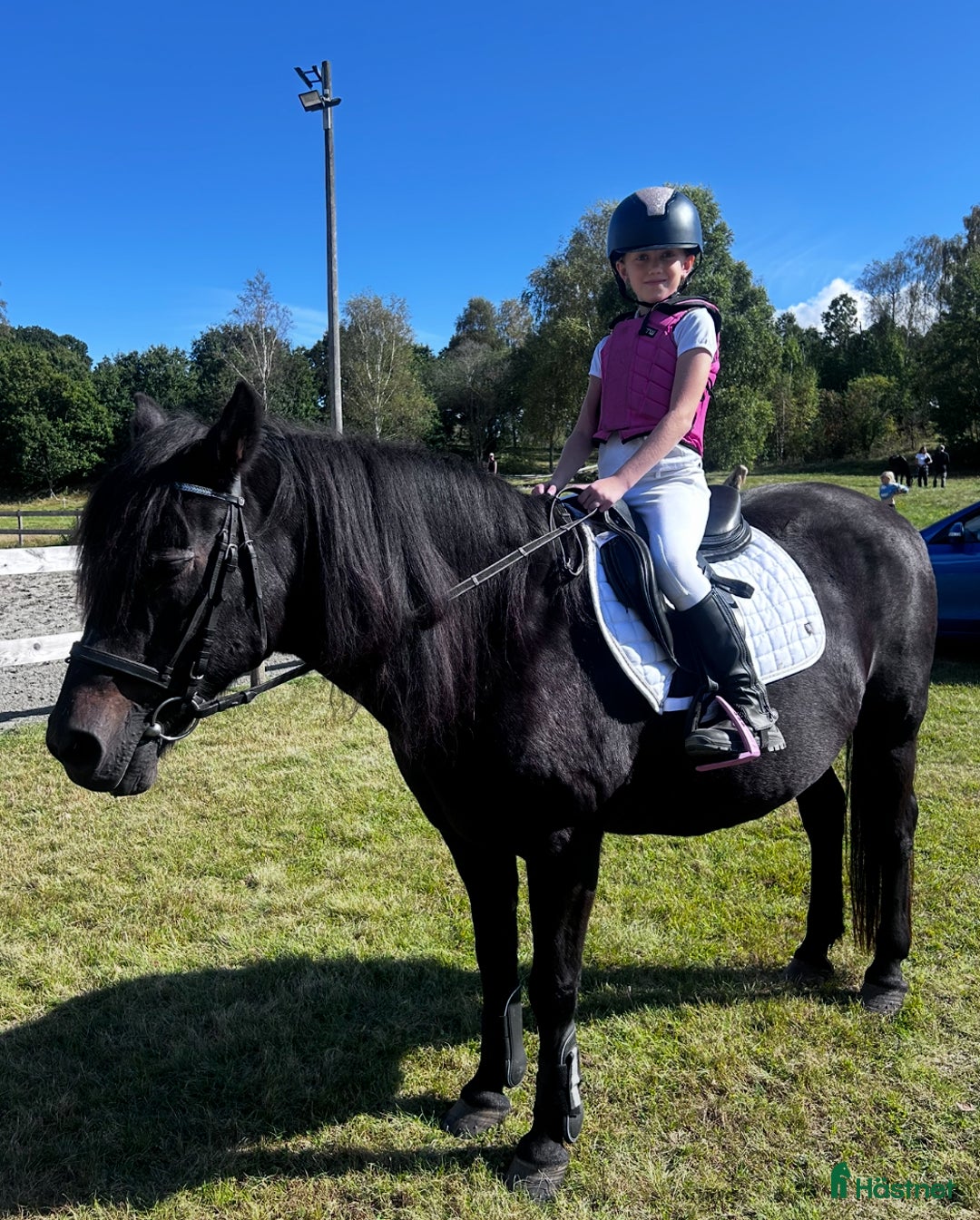  foderhäst sökes: Vi letar efter en ny bästa kompis! i Varberg - Annons 1