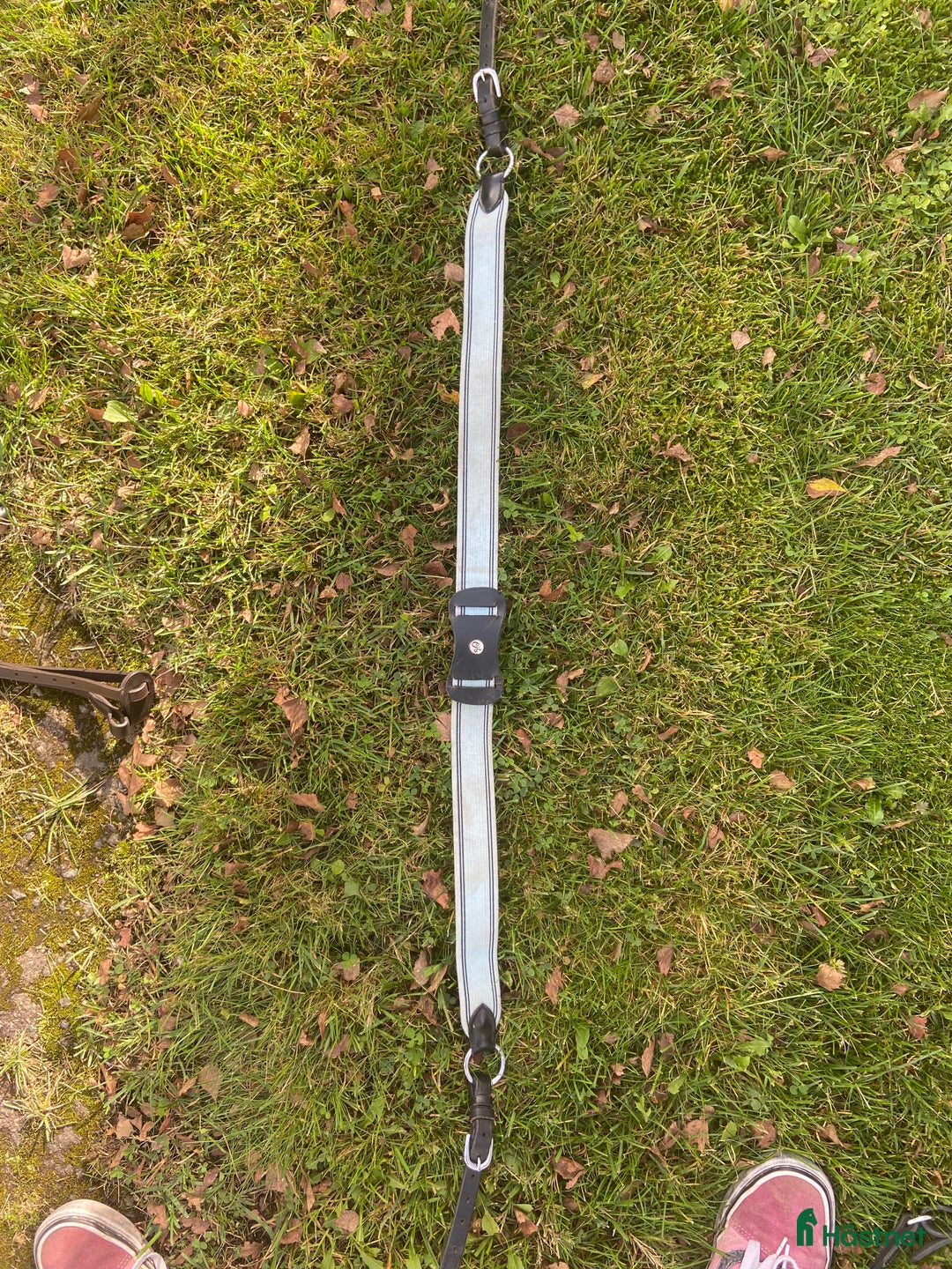 Sadeltillbehör hästutrustning till salu: Brösta/martingal - Annons 3