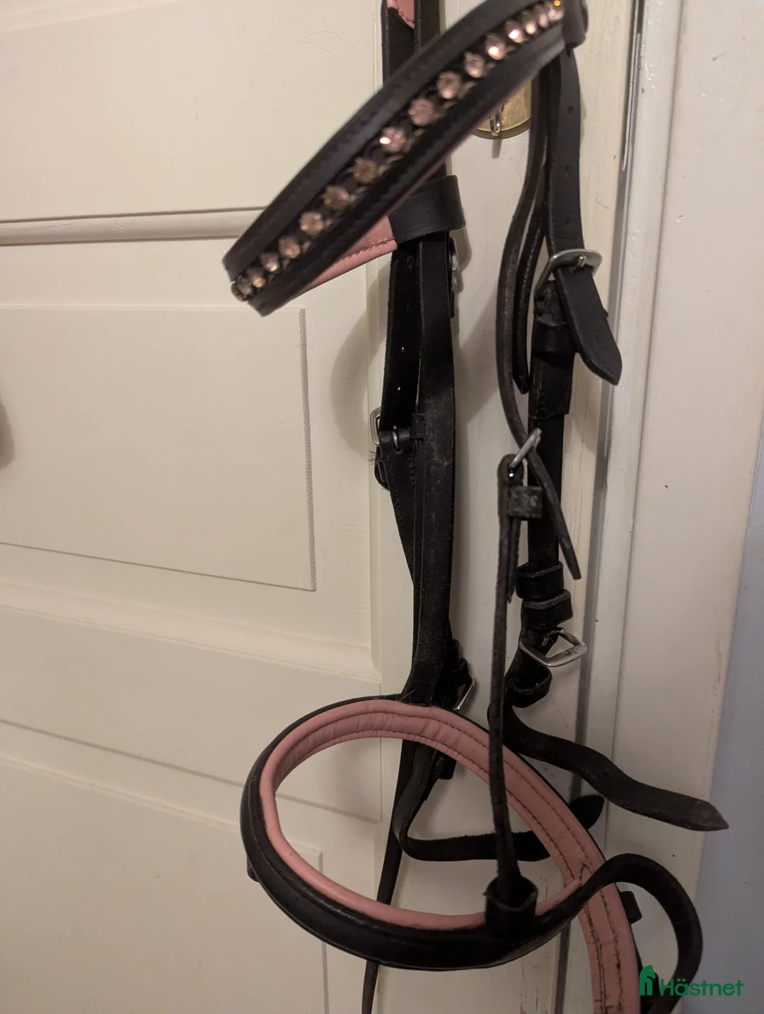 Träns hästutrustning till salu: Rosa träns i Ås - Annons 3