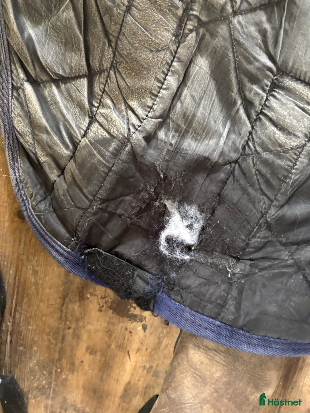 Täcken hästutrustning till salu: Flera täcken 155 cm, horseware bla i Storuman - Annons 10