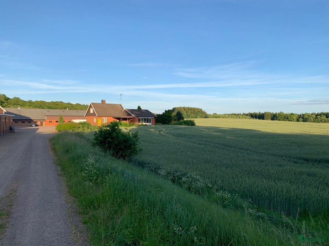  hästgårdar till salu: Uthyres Lantligt boende Söderåsen i Kågeröd - Bild 2