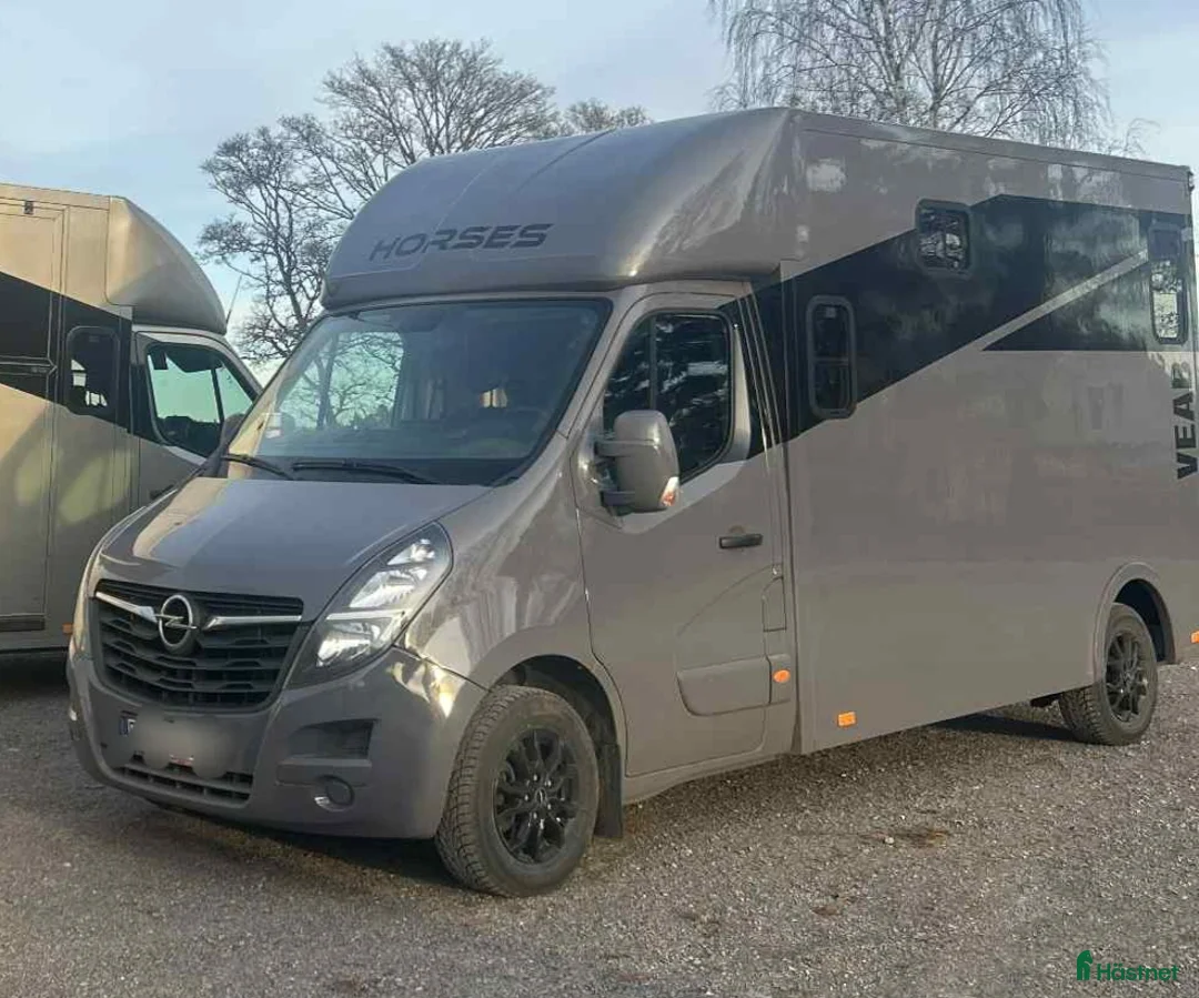 Hästlastbilar  fordon & transport till salu: Stuteri B-kortsbuss meetingmodell  i Falun - Annons 7