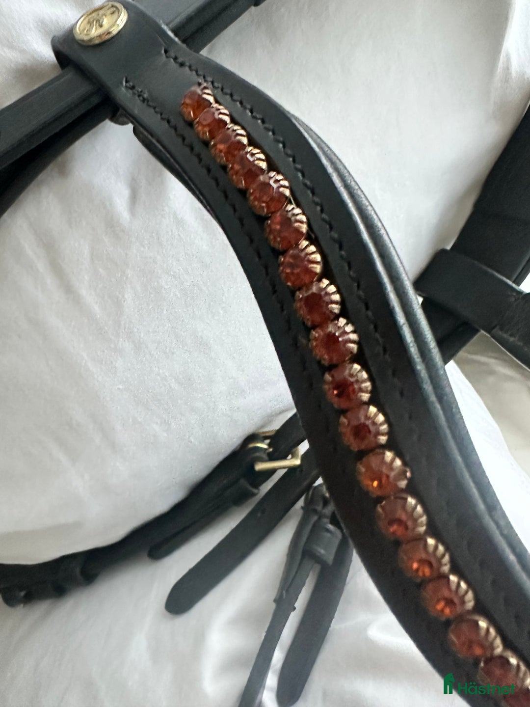 Träns hästutrustning till salu: Träns  i Lidköping - Annons 1