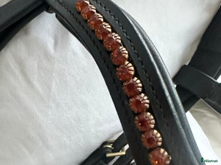 Träns hästutrustning till salu: Träns i Lidköping - Annons 5