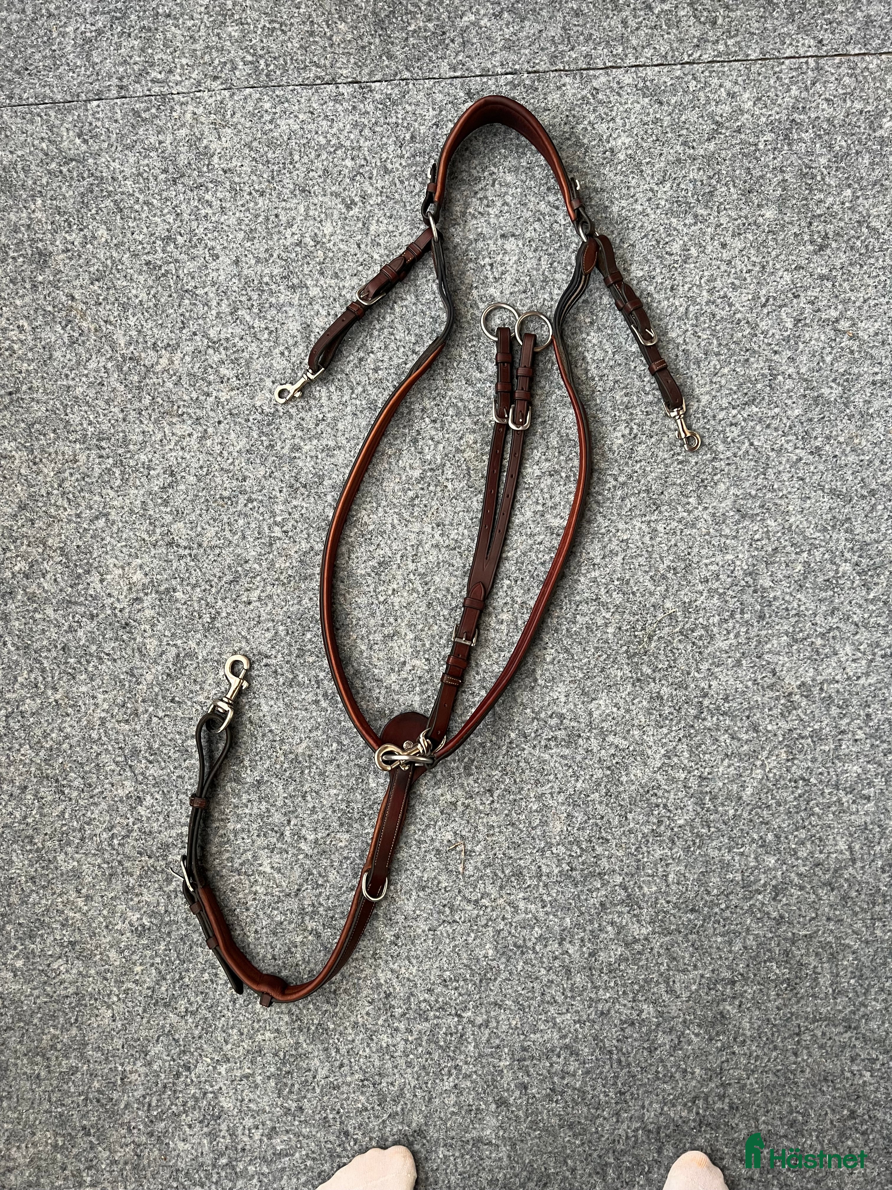 Övrig Hästutrustning hästutrustning till salu: Antarés förbygel med martingal i Bankeryd - Annons 3