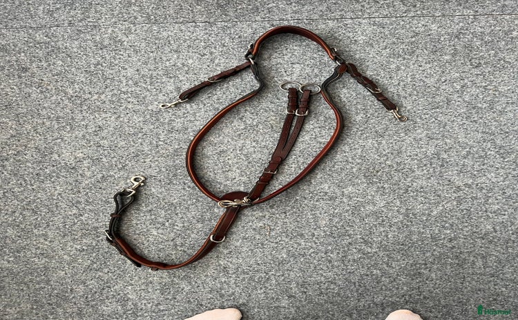 Övrig Hästutrustning hästutrustning till salu: Antarés förbygel med martingal i Bankeryd - Annons 11