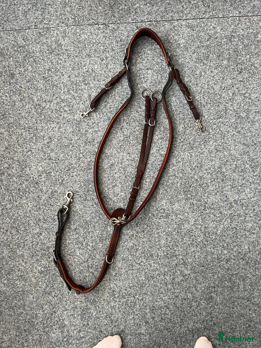 Övrig Hästutrustning hästutrustning till salu: Antarés förbygel med martingal i Bankeryd - Annons 1