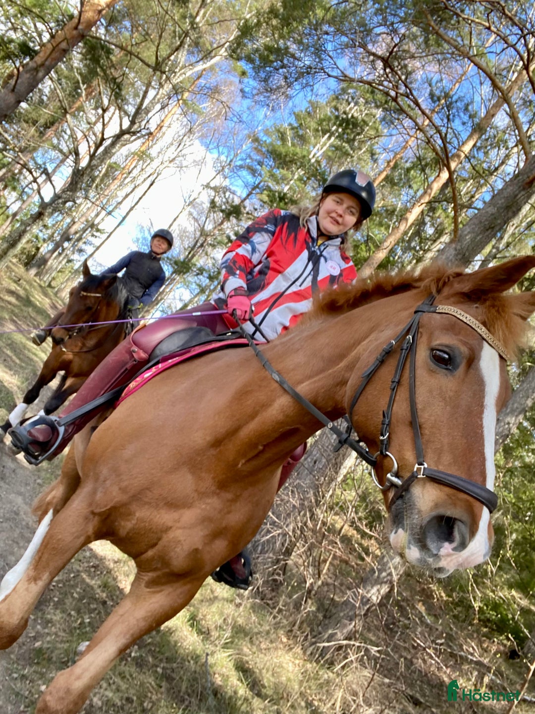  stallplats finnes: Behöver du stallplats på Ekerö?  i Skå - Annons 23